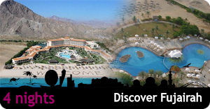 ESI 2013 - Discover Fujairah